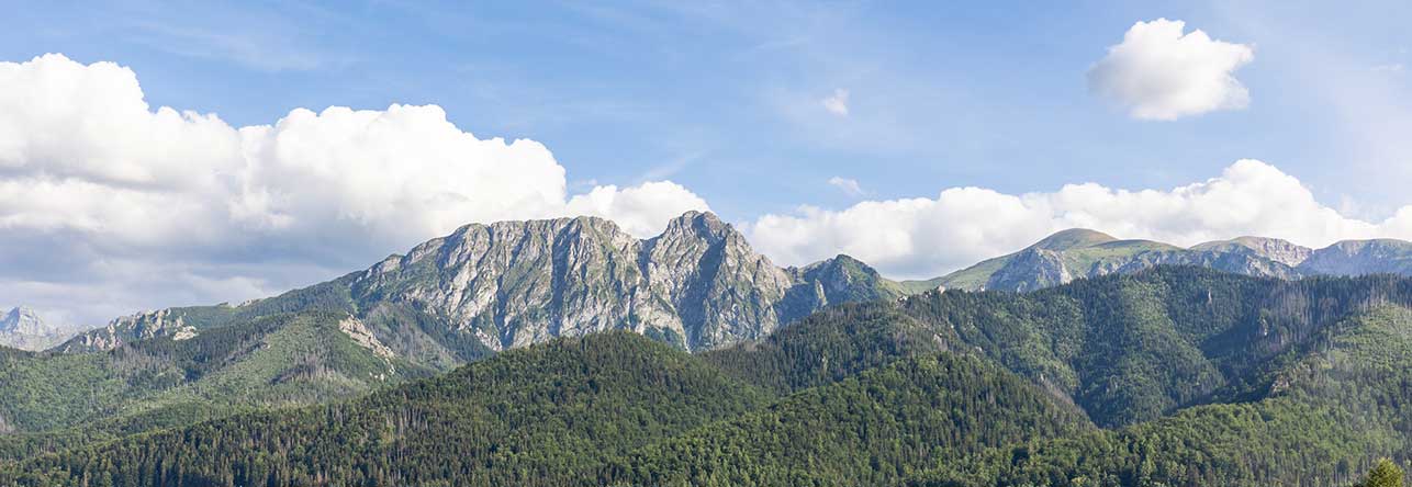 Zakopane - Kompleksowa obsługa apartamentów